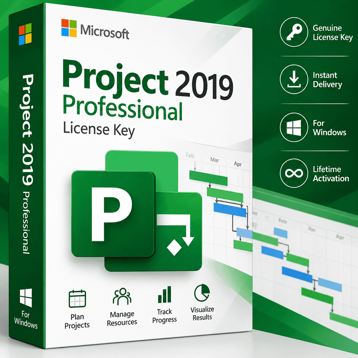 Project 2019 License Key