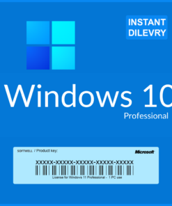 Windows 10 Professional License Key
