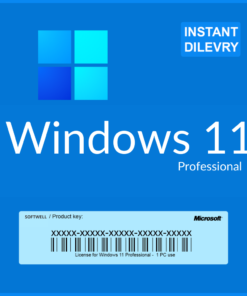 Windows 11 Professional License Key