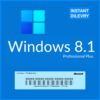 Windows 8.1 Professional License Key