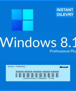 Windows 8.1 Professional License Key