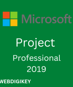 Project Professional 2019 Pro License Key