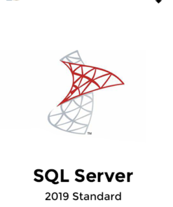 Microsoft SQL Server 2019 Standard 1 user CAL License