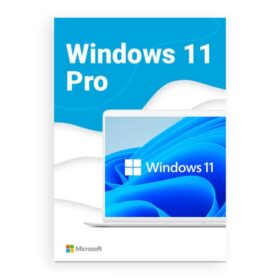 Windows 11 Professional License Key